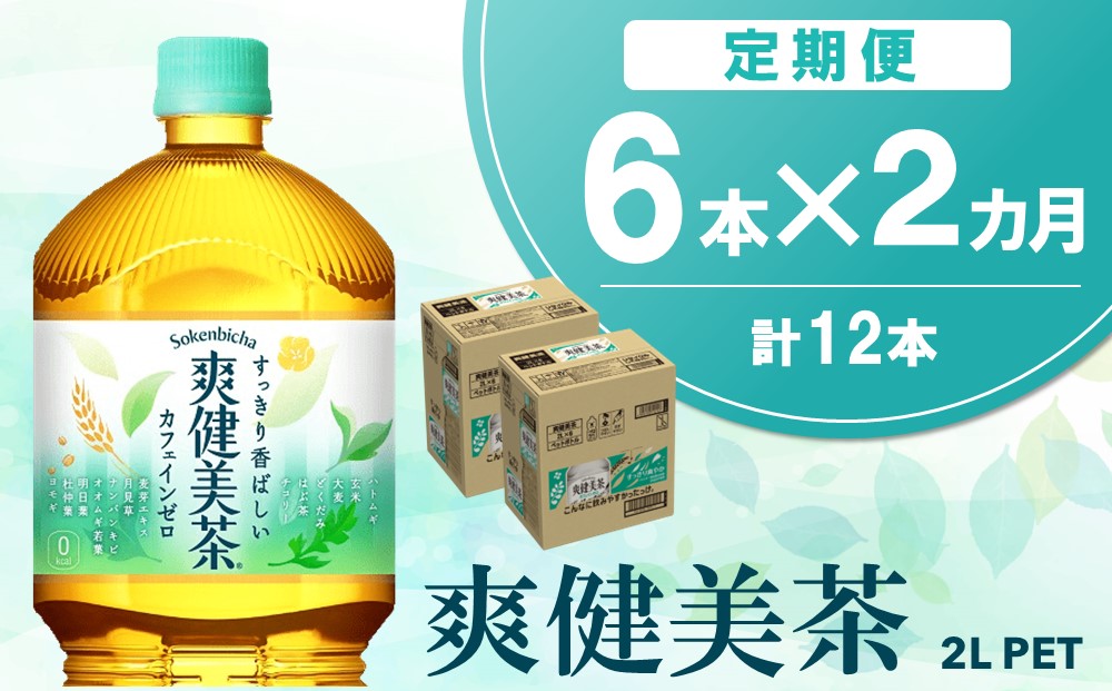 【2か月定期便】爽健美茶 2L×6本(1ケース)【コカコーラ カフェインゼロ 香ばしい おいしい ブレンド茶 お茶 国産 ハトムギ 玄米 大麦 ドクダミ ハブ茶 チコリー 麦芽 植物素材 飲料 お徳用 ペットボトル】A-J090352