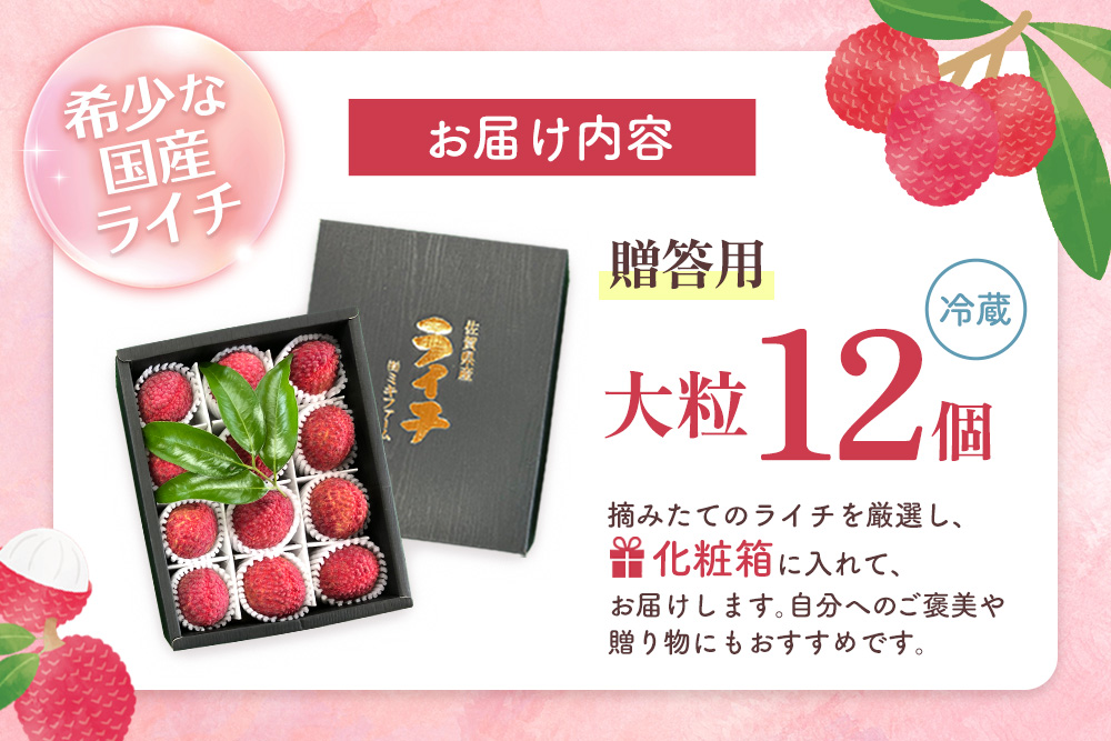 【先行受付】佐賀県産ライチ 大粒12個入(贈答用)【生ライチ ライチ 生 基山町産 贈答用 貴重 国産 大粒 新鮮 フレッシュ 肉厚 お中元 贈り物】K060012
