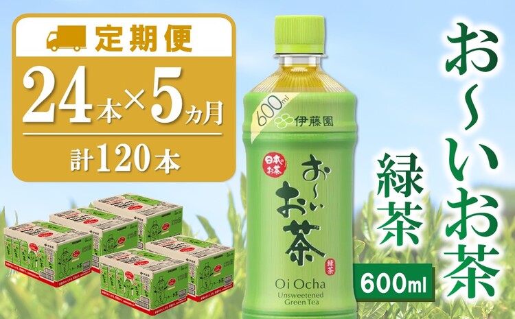 【5か月定期便】おーいお茶緑茶 600ml×24本(合計5ケース)【伊藤園 お茶 緑茶 まとめ買い 箱買い 熱中症対策 水分補給】D1-J071317