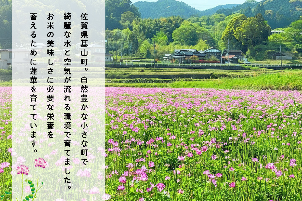 【令和7年産米】【3カ月定期便】ちぎり米 5kg(「さがびより」、「ヒノヒカリ」、「夢しずく」から1種類 選択不可)【佐賀県産 米 お米 コメ こめ 国産 美味しい kome okome】K091309