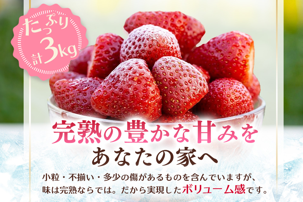 冷凍完熟いちご3kg(1kg×3袋)【完熟いちご 冷凍いちご イチゴ 苺 産地直送 農場直送 ヘタ無し げんき農場 よつぼし おいCベリー かおり野 紅ほっぺ 恋みのり 小分け】K100042