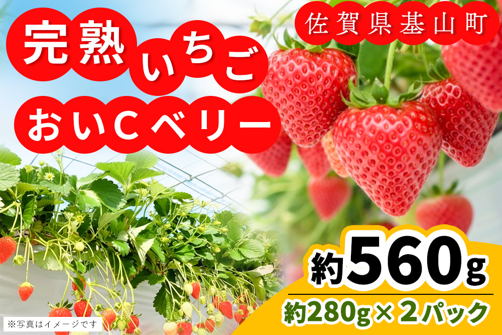 【農場直送いちご】おいCベリー(約280g×2P)【ふるさと納税 基山町産 いちご イチゴ 朝採れ 完熟果 KBCテレビ「ふるさとwish」で紹介されました】K100033