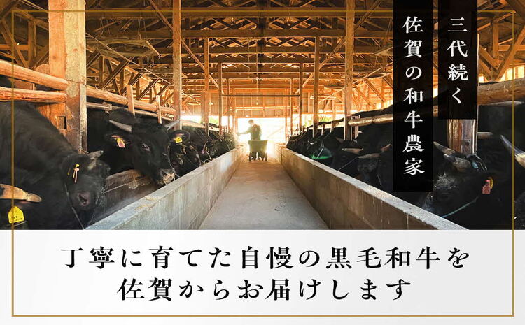 《佐賀牛》梁井 コラーゲンたっぷり スジ肉盛り合わせ 1kg【佐賀牛 スジ肉 コラーゲン ぷるぷる やわらか 煮込み料理 美味しい ブランド肉】 A5-J081004