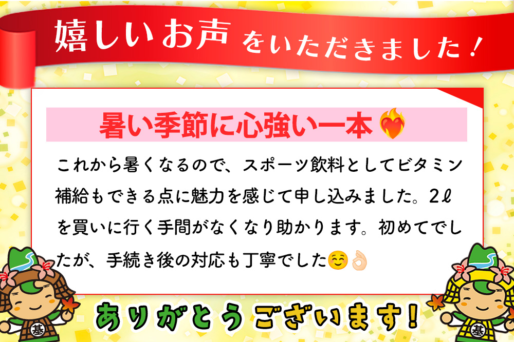 【3か月定期便】アクエリアス ビタミン PET 2L(6本×3回)【アクエリ スポーツ飲料 夏バテ予防 水分補給 ビタミン補給 ビタミンC ミネラル クエン酸 2L 2リットル ペットボトル ペット スポーツ イベント】K090482