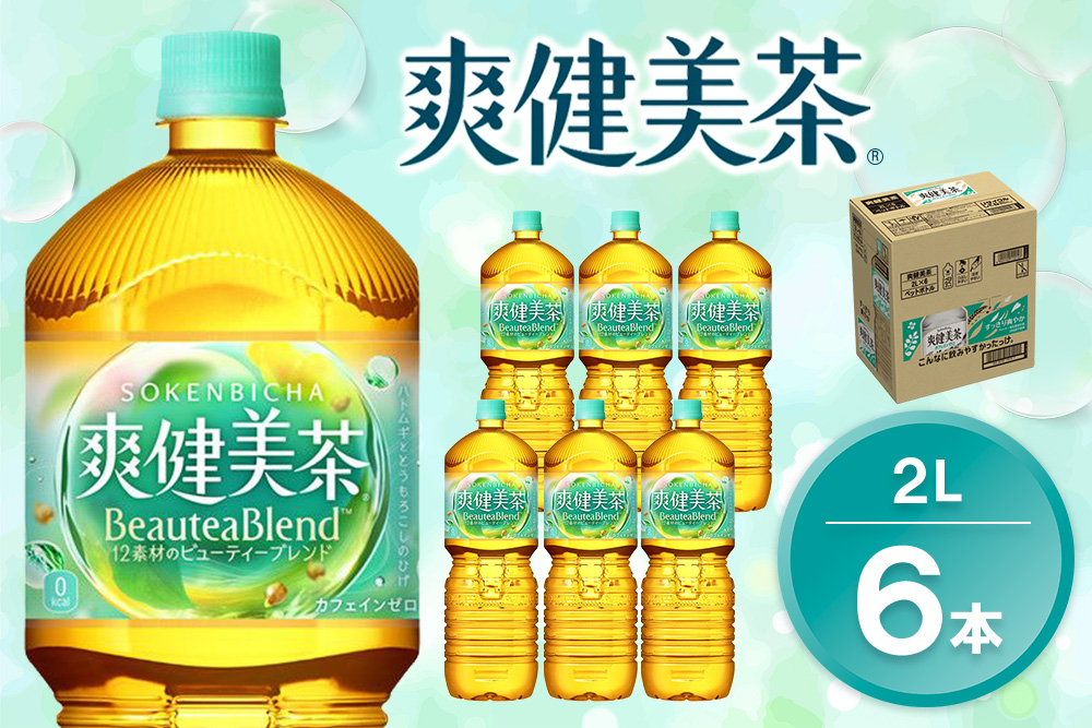 爽健美茶 2L×6本(1ケース)【コカコーラ カフェインゼロ 香ばしい おいしい ブレンド茶 お茶 ハトムギ 玄米 大麦 ドクダミ ハブ茶 チコリー 麦芽 植物素材 飲料 ペットボトル 備蓄 防災 熱中症】K090078