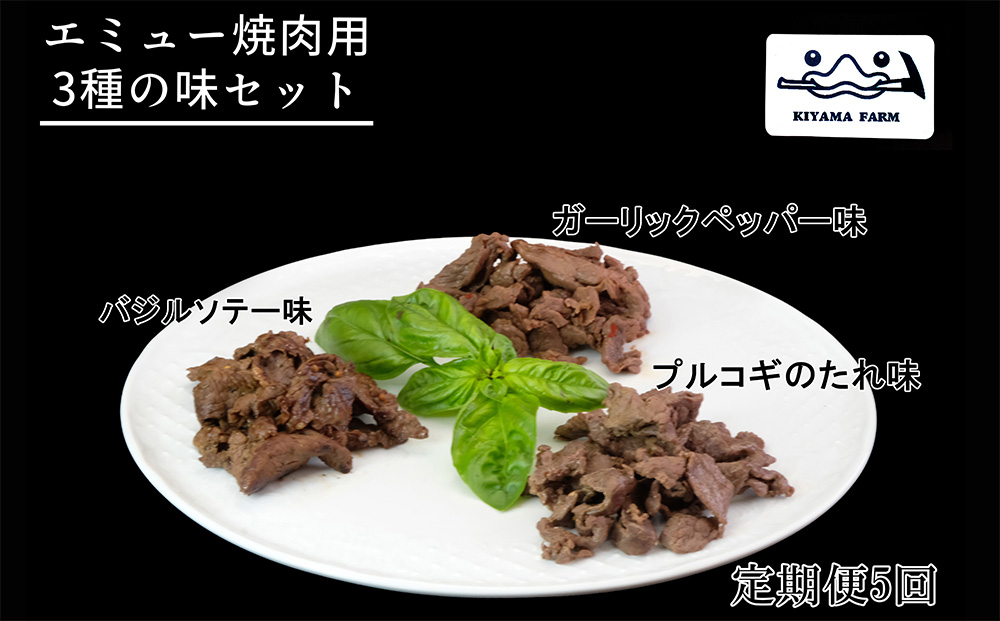 【5か月定期便】エミュー焼肉用3種の味セット【エミュー 基山産 高タンパク 高鉄分 低カロリー ヘルシー ジビエ 貴重肉 鉄分補給】F1-J006302