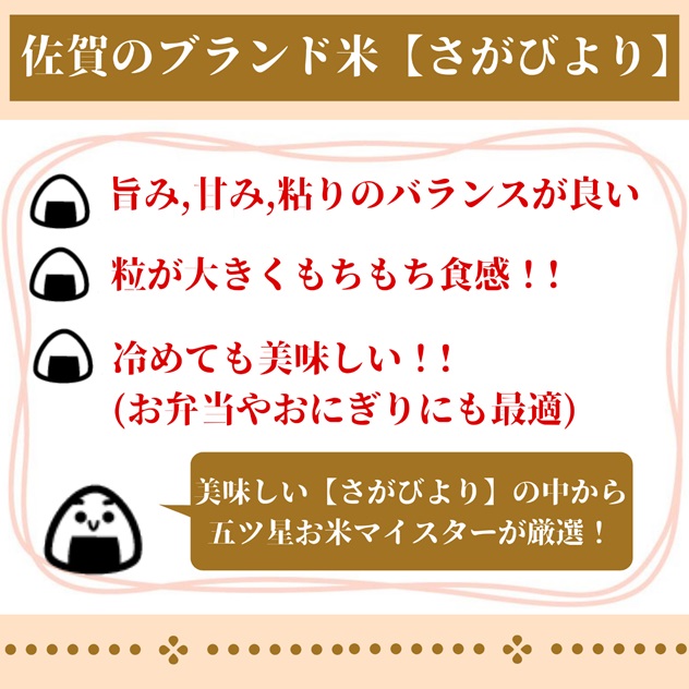 CI669　【玄米】さがびより１０kg（５kg×２袋）【３回定期便】【五つ星お米マイスター厳選！】