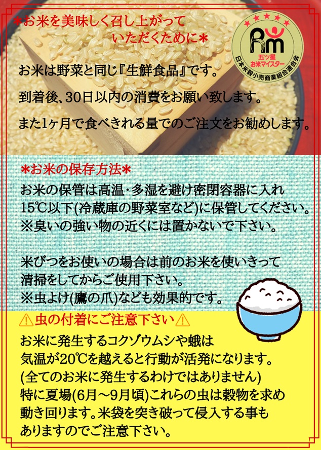 CI671　【玄米】さがびより１０kg（５kg×２袋）【１２回定期便】【五つ星お米マイスター厳選！】