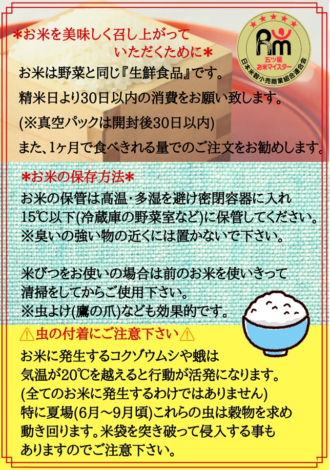 CI676　【6回定期便】無洗米さがびより５ｋｇ×２【五つ星お米マイスター厳選！】