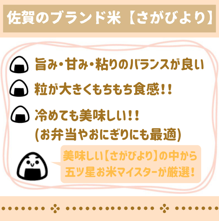 CI677　【12回定期便】無洗米さがびより５ｋｇ×２【五つ星お米マイスター厳選！】