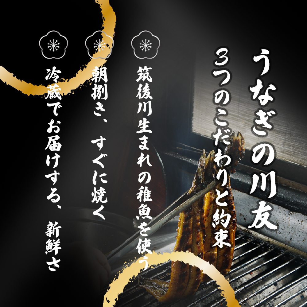 AK003_【冷蔵発送】朝開き国産うなぎ 当日発送２尾（1尾あたり約200～230ｇ） 蒲焼き（タレ付）国産鰻 ウナギ