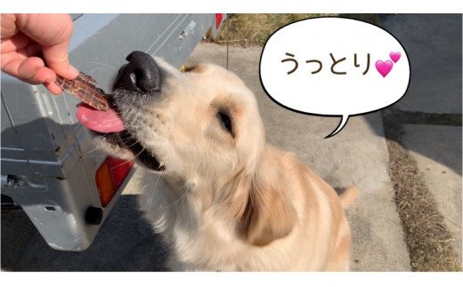 FB090　中～大型犬向け☆天然いのししスモークジャーキー8個