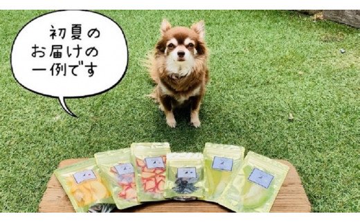 FB135　 犬の無添加おやつ☆お砂糖不使用ドライフルーツ☆旬の果物６袋【定期便】全６回