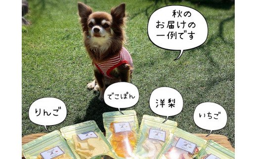 FB135　 犬の無添加おやつ☆お砂糖不使用ドライフルーツ☆旬の果物６袋【定期便】全６回