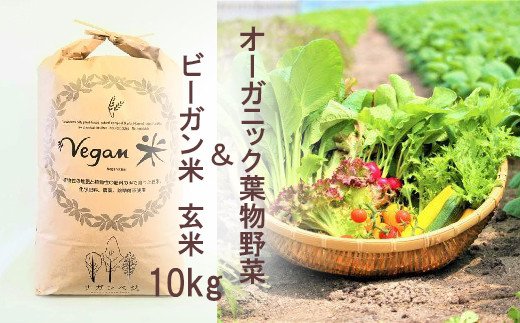 CQ025 オーガニック葉物野菜セットとビーガン玄米10kg【植物性で育てた完全無農薬のサガンベジブランド】