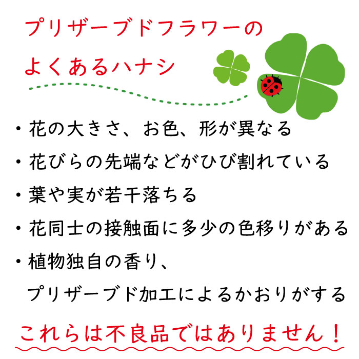 FH014_ダブルハート 2つのハートが印象的なバラアレンジ【レッド】誕生日 母の日 父の日 お祝い 花 プレゼント ギフト 愛妻の日 いい夫婦の日　記念日 お中元 お歳暮 長寿祝い 還暦 卒業 入学祝い 就職祝い 退職祝い　引越し祝い バレンタインデー ホワイトデー 演奏会 発表会 敬老の日 成人の日　お年賀 七五三 クリスマス お見舞い 手土産 お供え 孫の日 インテリア