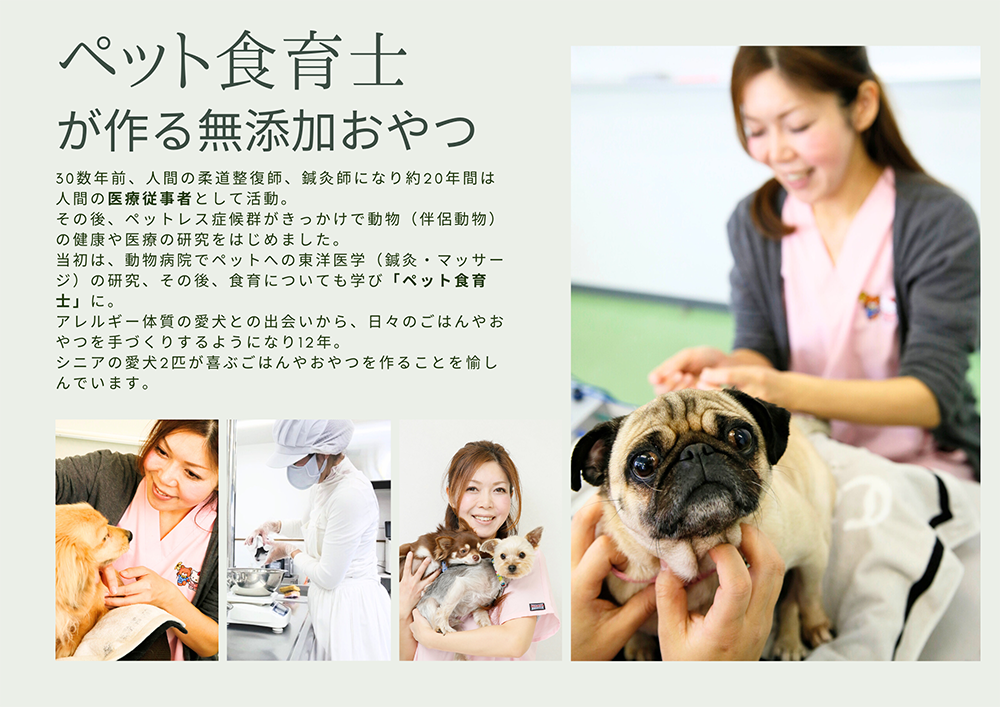 FB098  シニア犬＆幼犬用の無添加おやつ☆固すぎない天然いのししジャーキー4個【定期便全3回】