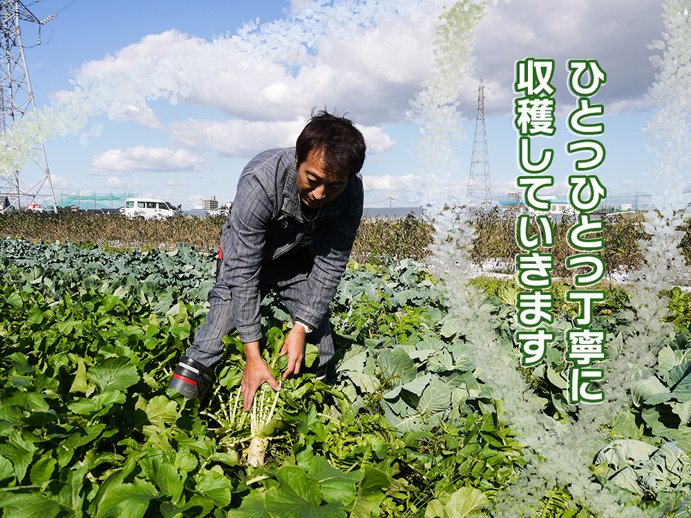 CC003_【3回定期便】かずちゃんの朝採り新鮮野菜セット毎月、合計３回お届け みやき町産
