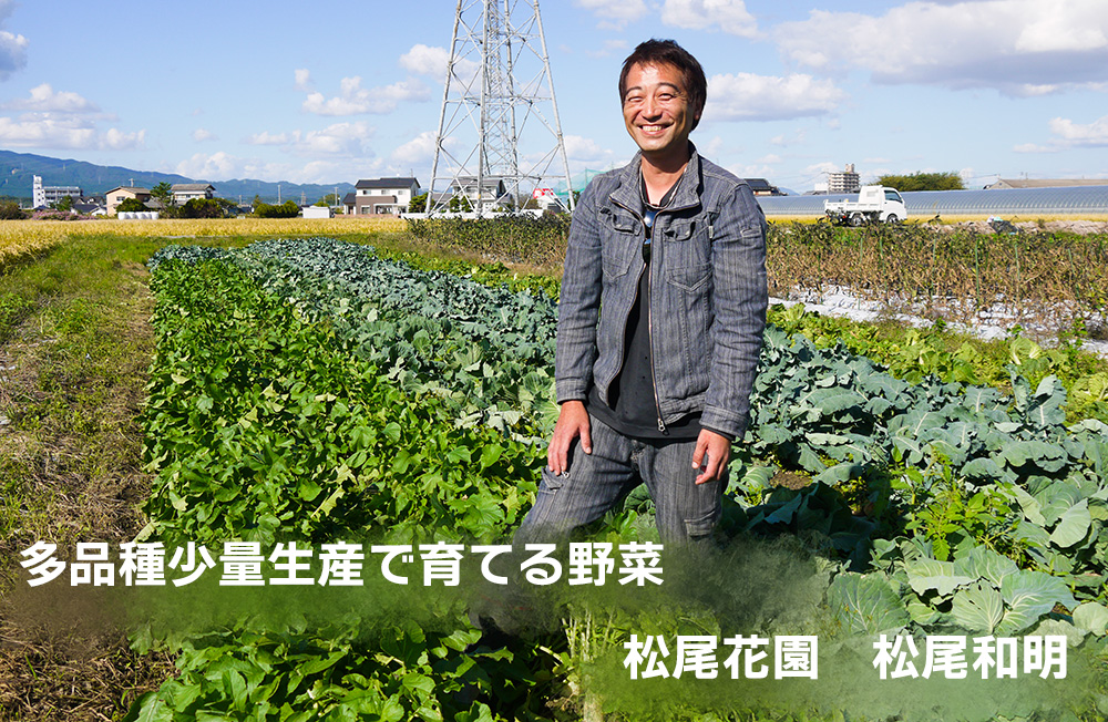 CC005_【鍋約2回分】かずちゃんの厳選おススメ鍋野菜セット 野菜詰め合わせ 旬 新鮮 国産 水炊き 採れたて