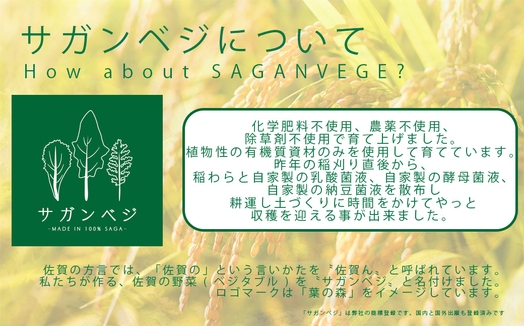 CQ033_【6か月定期便】ビーガン米20kg　玄米【植物性で育てた完全無農薬のサガンベジブランド】