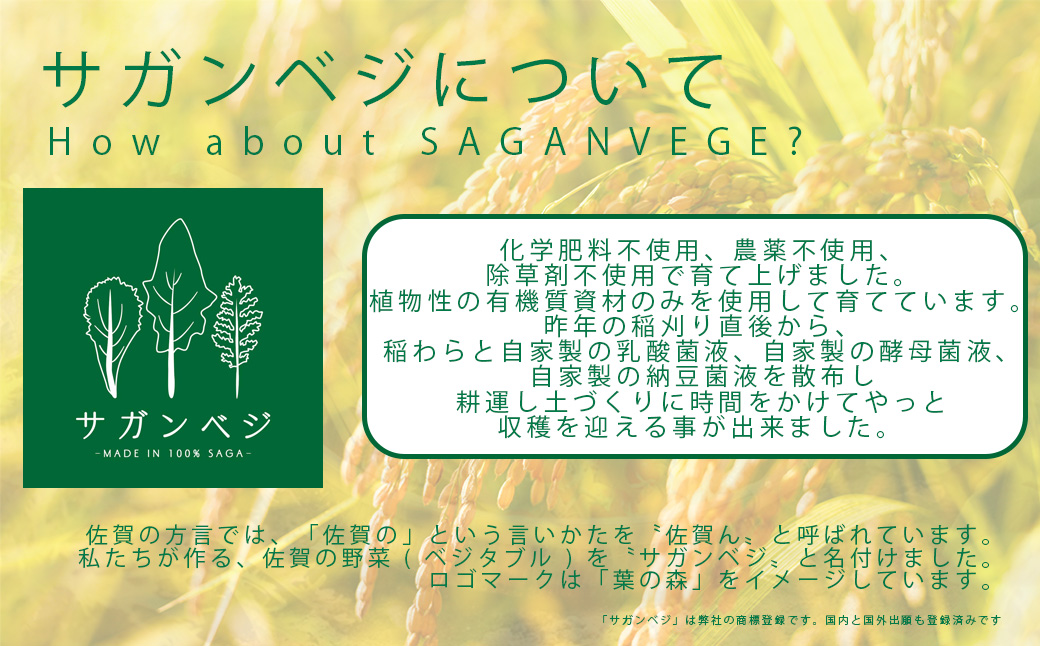 CQ034_【12か月定期便】ビーガン米20kg　玄米【植物性で育てた完全無農薬のサガンベジブランド】