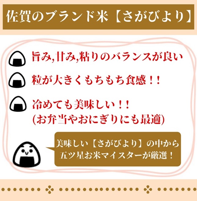 CI400_【５回定期便】さがびより白米１０kg（５kg×２袋）