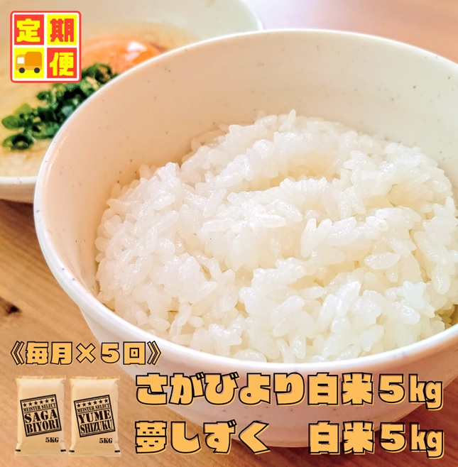 CI956 【白米食べ比べ！】さがびより５kg夢しずく５kg【５回定期便】