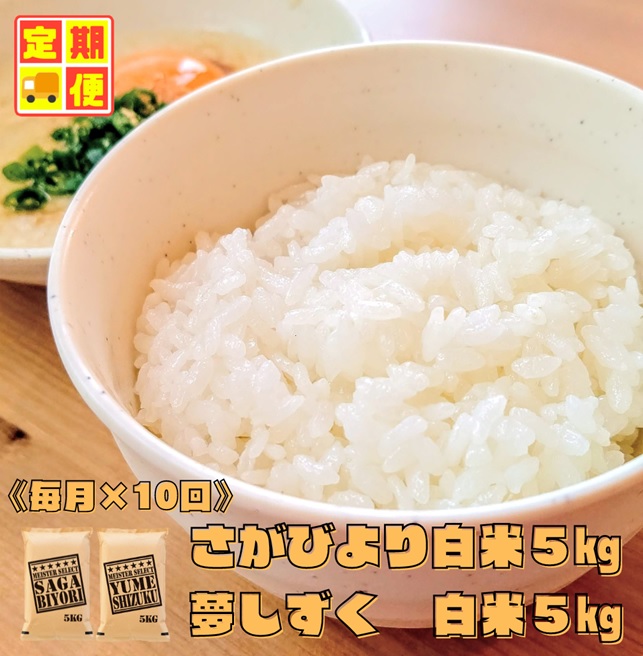 CI964 【白米食べ比べ！】さがびより５kg夢しずく５kg【１０回定期便】