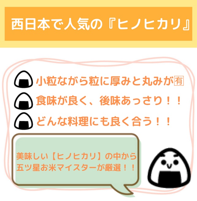 CI721_【１０回定期便】無洗米ヒノヒカリ１０ｋｇ（５ｋｇ×２袋）