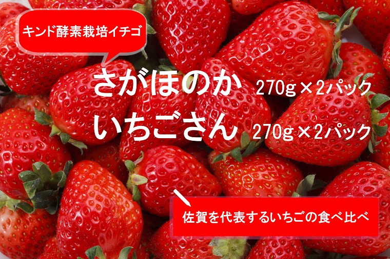 AE028_あま～い！！キンド酵素栽培いちご 【さがほのか２７０ｇ×２パック・いちごさん２７０ｇ×２パック】数量限定！！