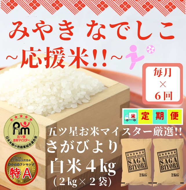 CI905 【みやきなでしこ】応援米【６回定期便】さがびより白米４kg（２kg×２袋）