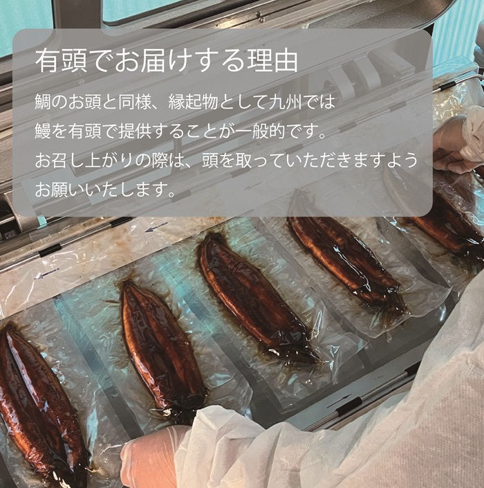 FK014 九州産　うなぎ職人手焼き　蒲焼　国産　有頭鰻 1尾あたり約200ｇ×2尾（合計約400ｇ以上）たれ・山椒セット