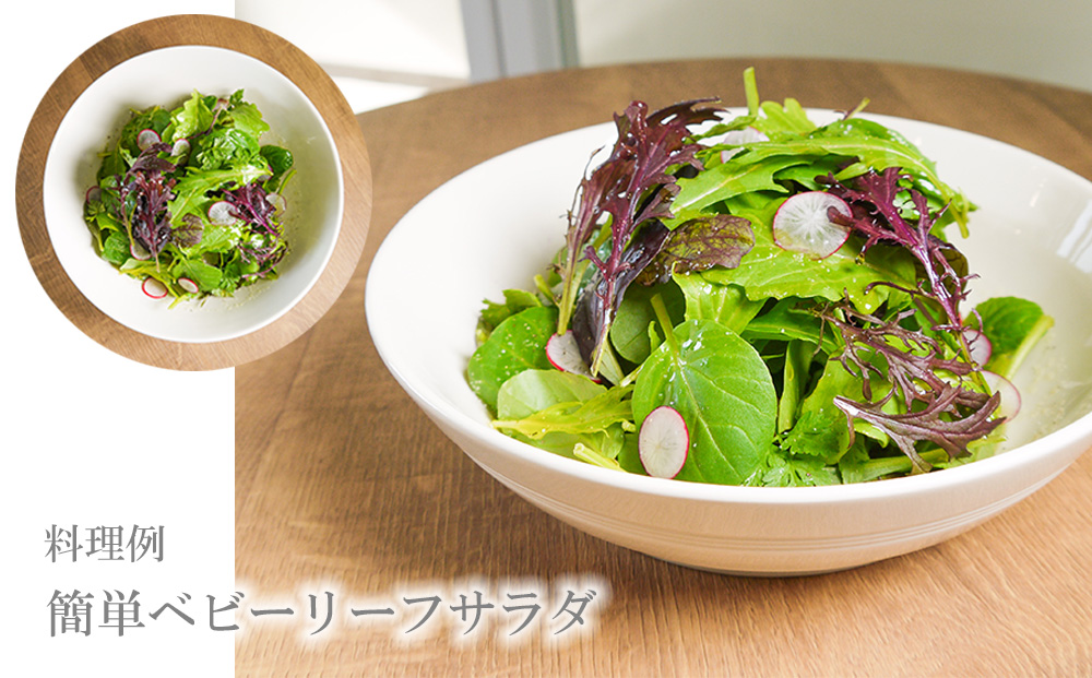 FV018_有機野菜のサラダセット