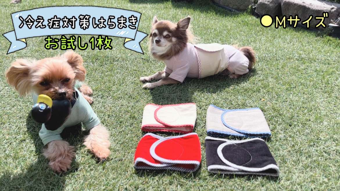 FB159_超小型犬・シニア犬の冷え性対策腹まき☆Mサイズ【お試し1枚】