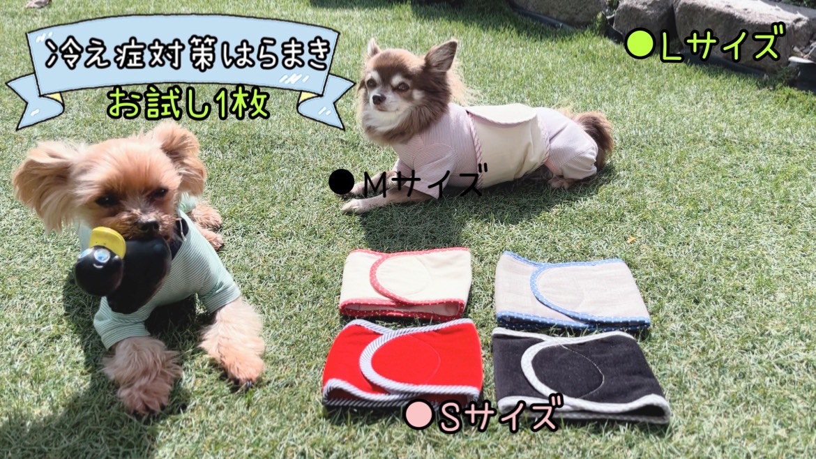 FB160_超小型犬・シニア犬の冷え性対策腹まき☆Lサイズ【お試し1枚】
