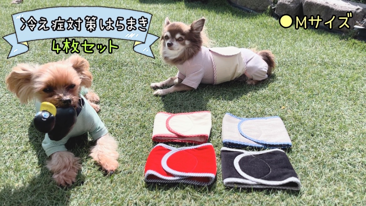 FB162_超小型犬・シニア犬の冷え性対策腹まき☆Mサイズ【4枚セット】