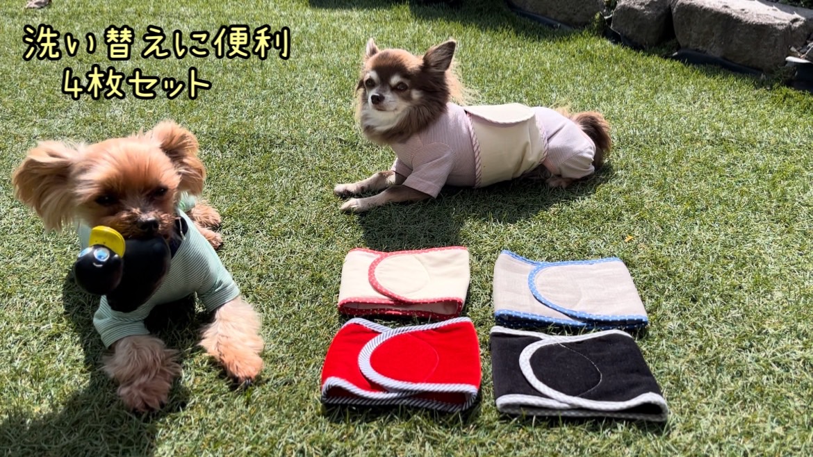 FB162_超小型犬・シニア犬の冷え性対策腹まき☆Mサイズ【4枚セット】