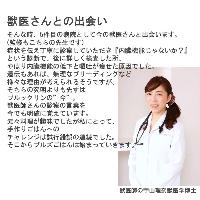 GC003_国産・保存料無添加のドッグフード・おダシ香る鶏ごはん【10個パック】