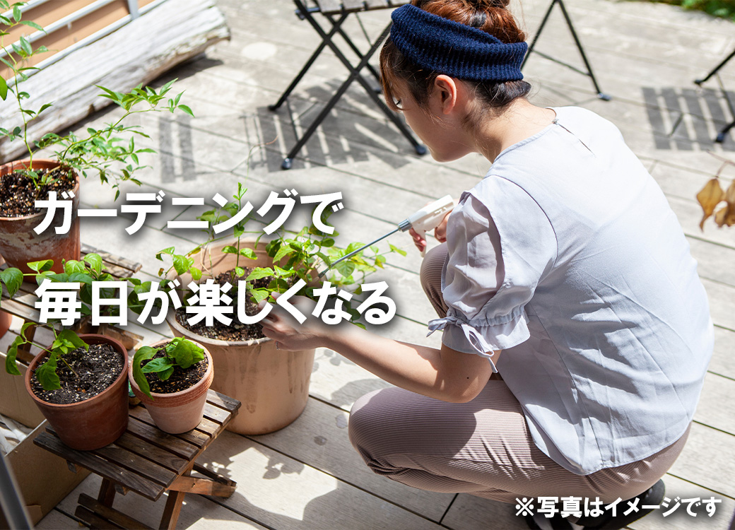 BS172_ハーブセットA　花 苗 植物 家庭菜園 花壇 プランター ガーデニング