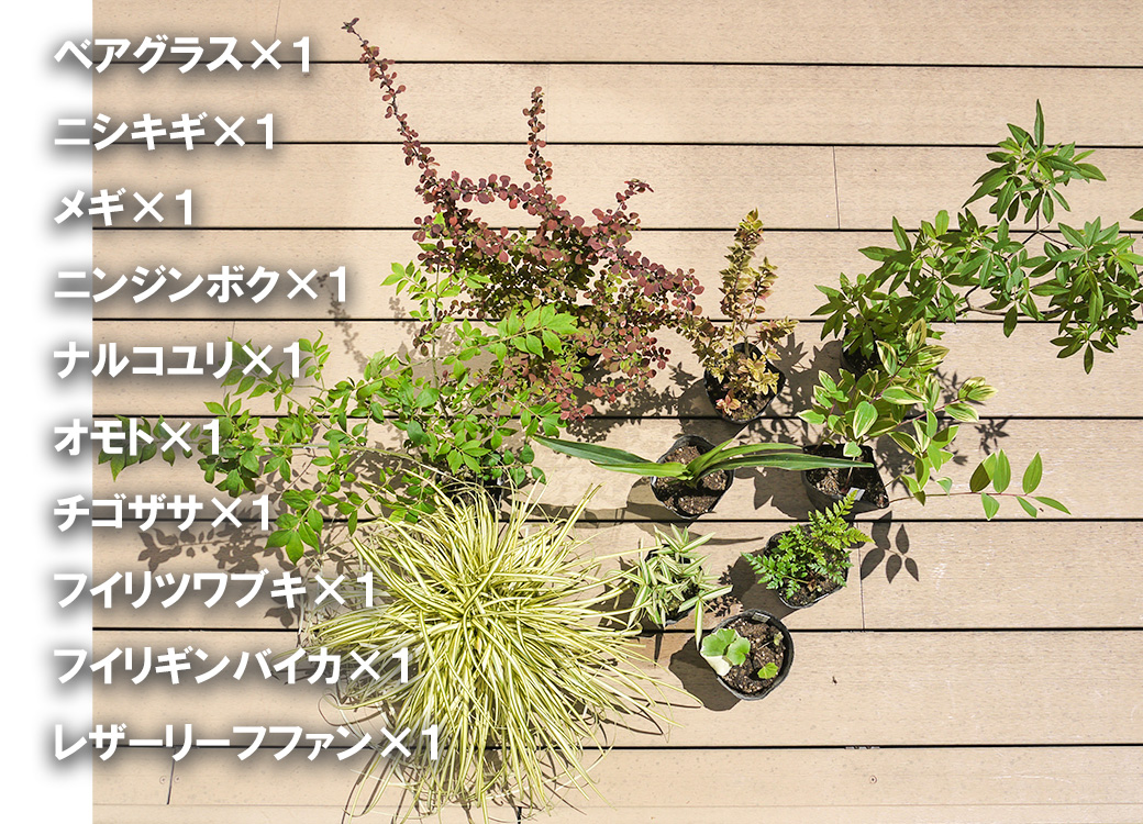 BS178_ガーデニングセットB　花 苗 植物 家庭菜園 花壇 プランター ガーデニング