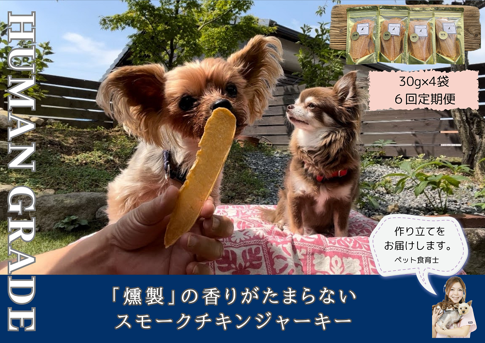 FB151 犬の無添加おやつ☆燻製の香りがたまらないスモークチキンジャーキー【6回定期便】