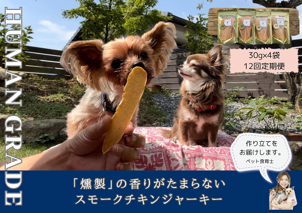 FB152　 犬の無添加おやつ☆燻製の香りがたまらないスモークチキンジャーキー【12回定期便】
