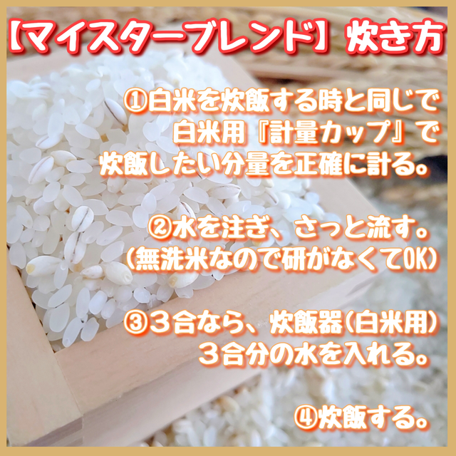 CI703_【１２回定期便】無洗米+もち麦　４kg【五つ星お米マイスターブレンド】