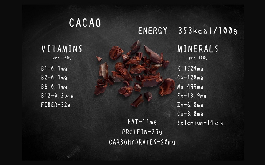 EG132_クリスマスケーキ☆腸や皮膚の健康を維持する栄養素＜食物繊維24.1g、亜鉛9.6mg＞☆美容と健康に良いVegan raw cakeプレミアムチョコレート【M】12月20日～25日にお届け