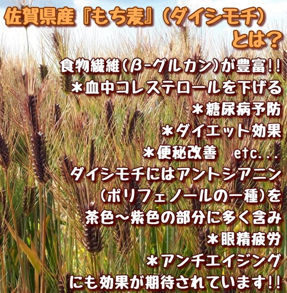 CI819_佐賀県産『もち麦』食べ比べ！キラリモチ３kg、ダイシモチ３kg（計６kg）