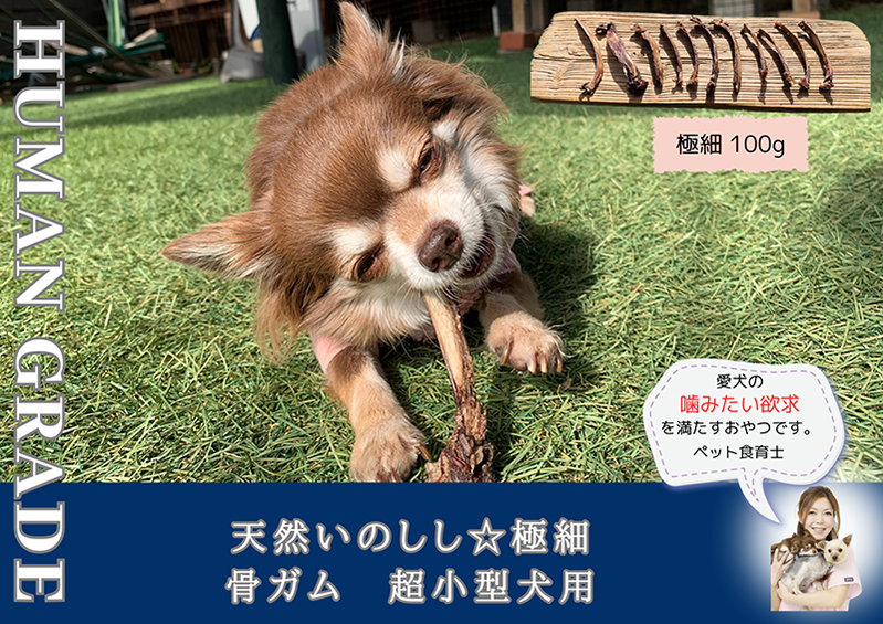 FB169_超小型犬向け☆天然いのししの骨ガム100g