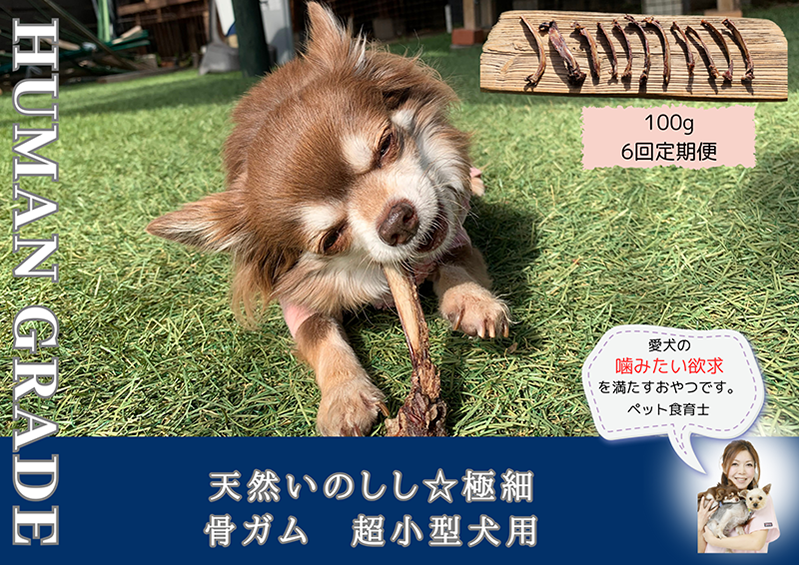 FB170_超小型犬向け☆天然いのししの骨ガム100g【定期便】全6回