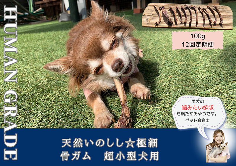 FB171_超小型犬向け☆天然いのししの骨ガム100g【定期便】全12回