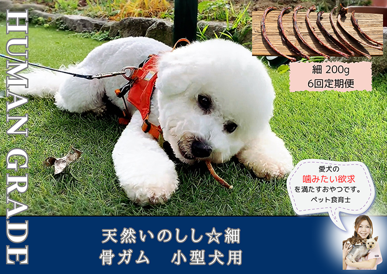 FB173_小型犬向け☆天然いのししの骨ガム200g【定期便】全6回