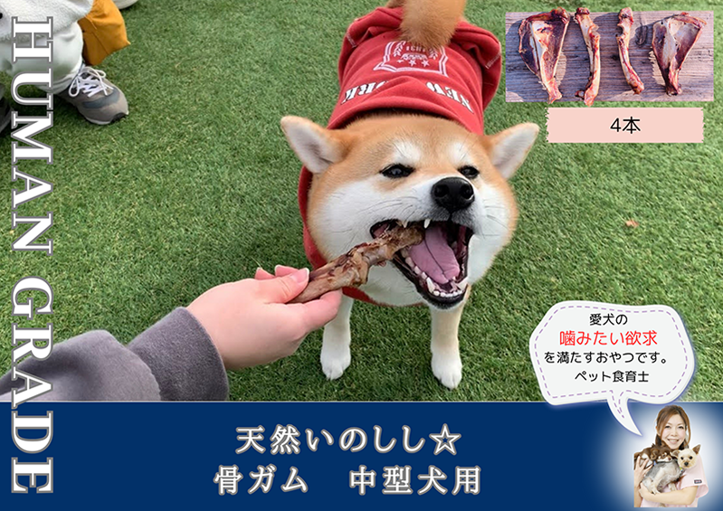 FB175_中型犬向け☆天然いのししの骨ガム4本（300～400g）